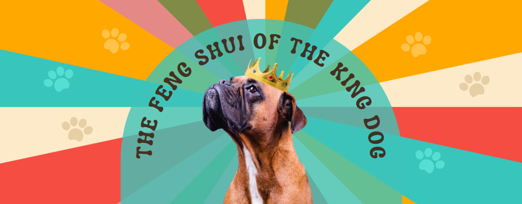 The Feng Shui Case Of The King Dog
