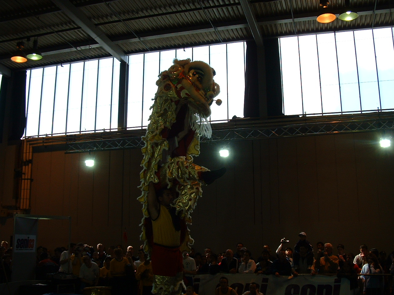 Nam Yang Lion dance