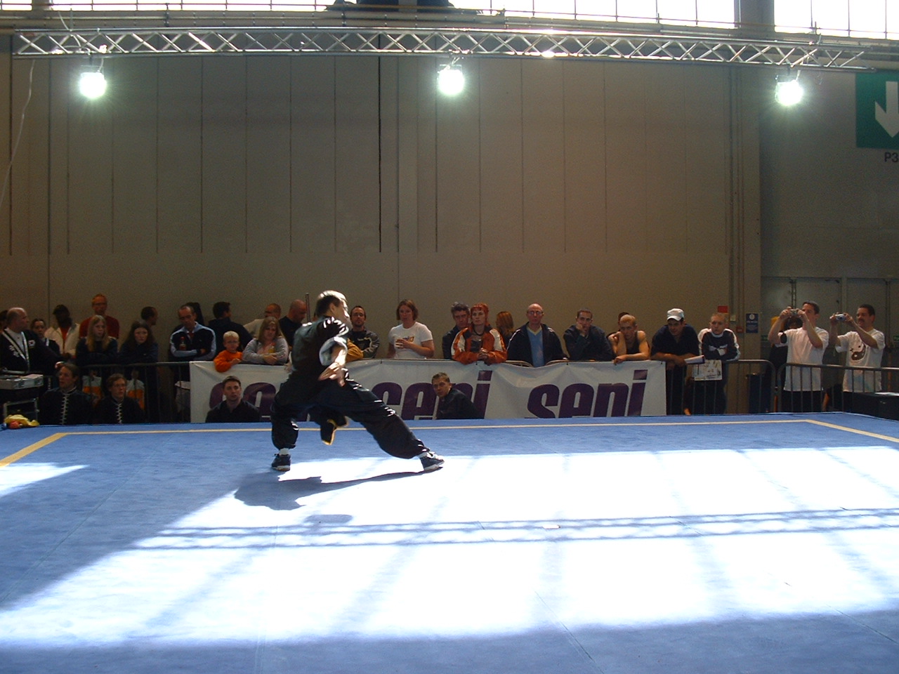 Sifu Wan bagua chuan demo