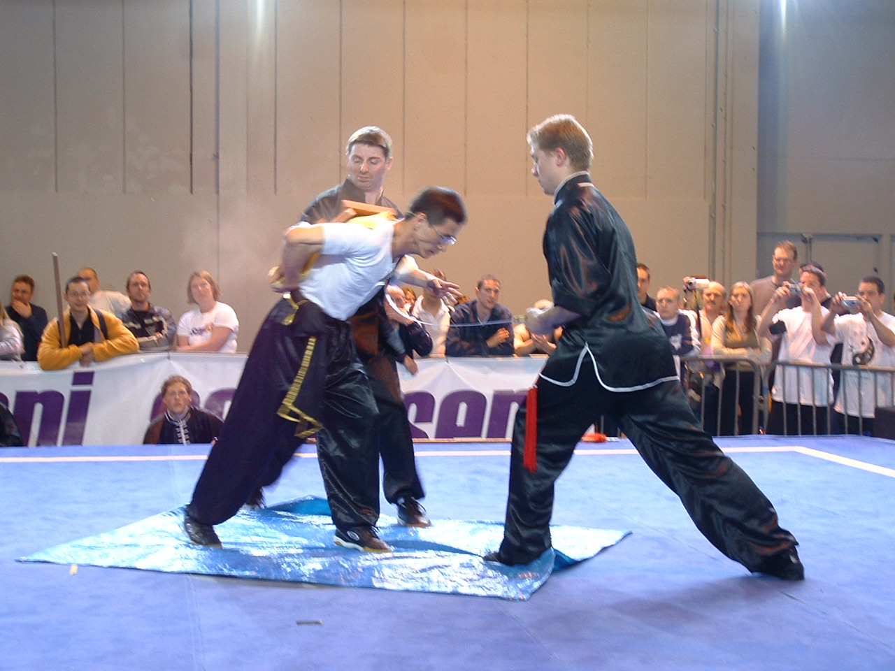 Iron shirt qigong