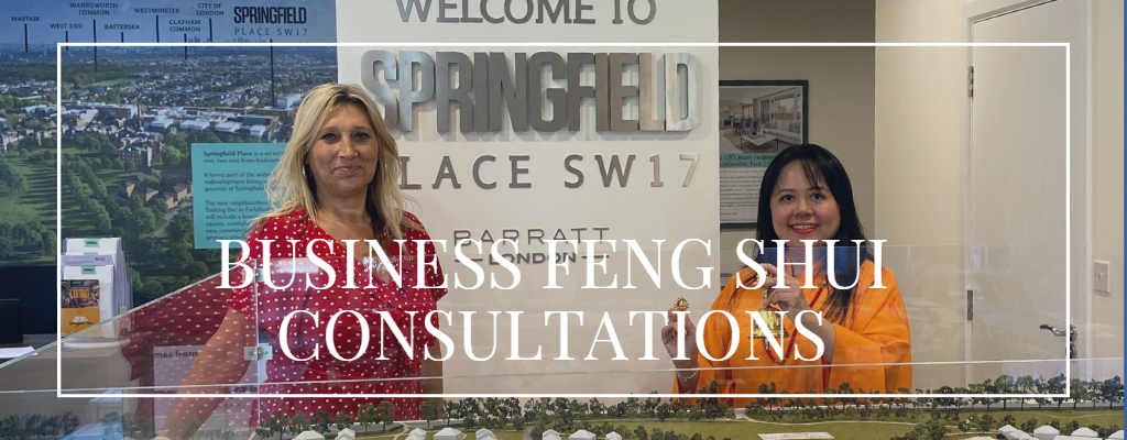 Business Feng Shui Consultations
