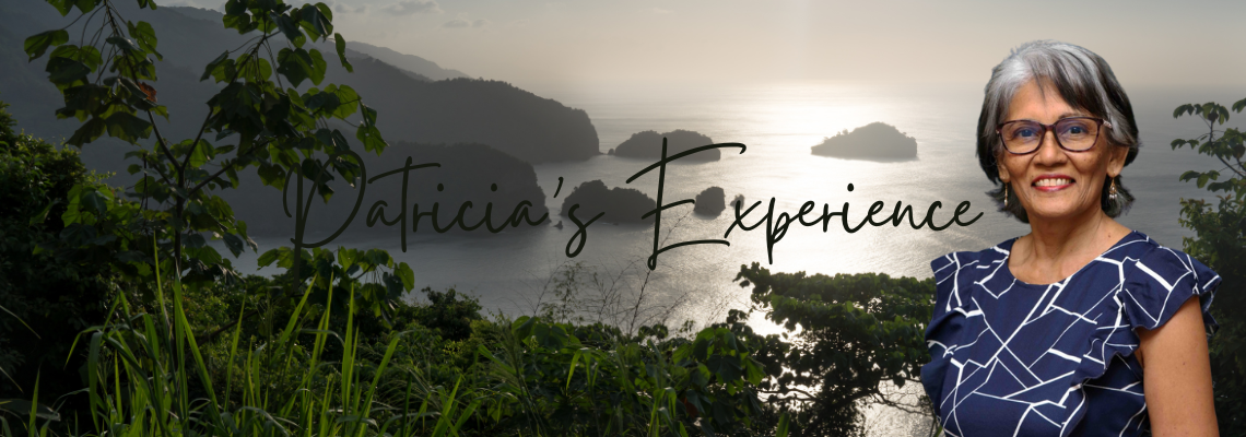 Patricia's Bazi Astrology Experience