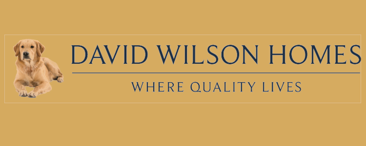David Wilson Homes are a Rising Dragon Feng Shui client